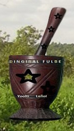 Radio Dingiral Fulbe